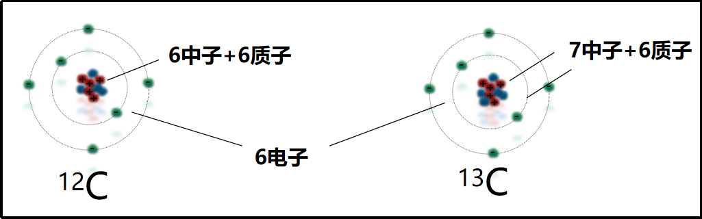碳同位素原子結構示意圖